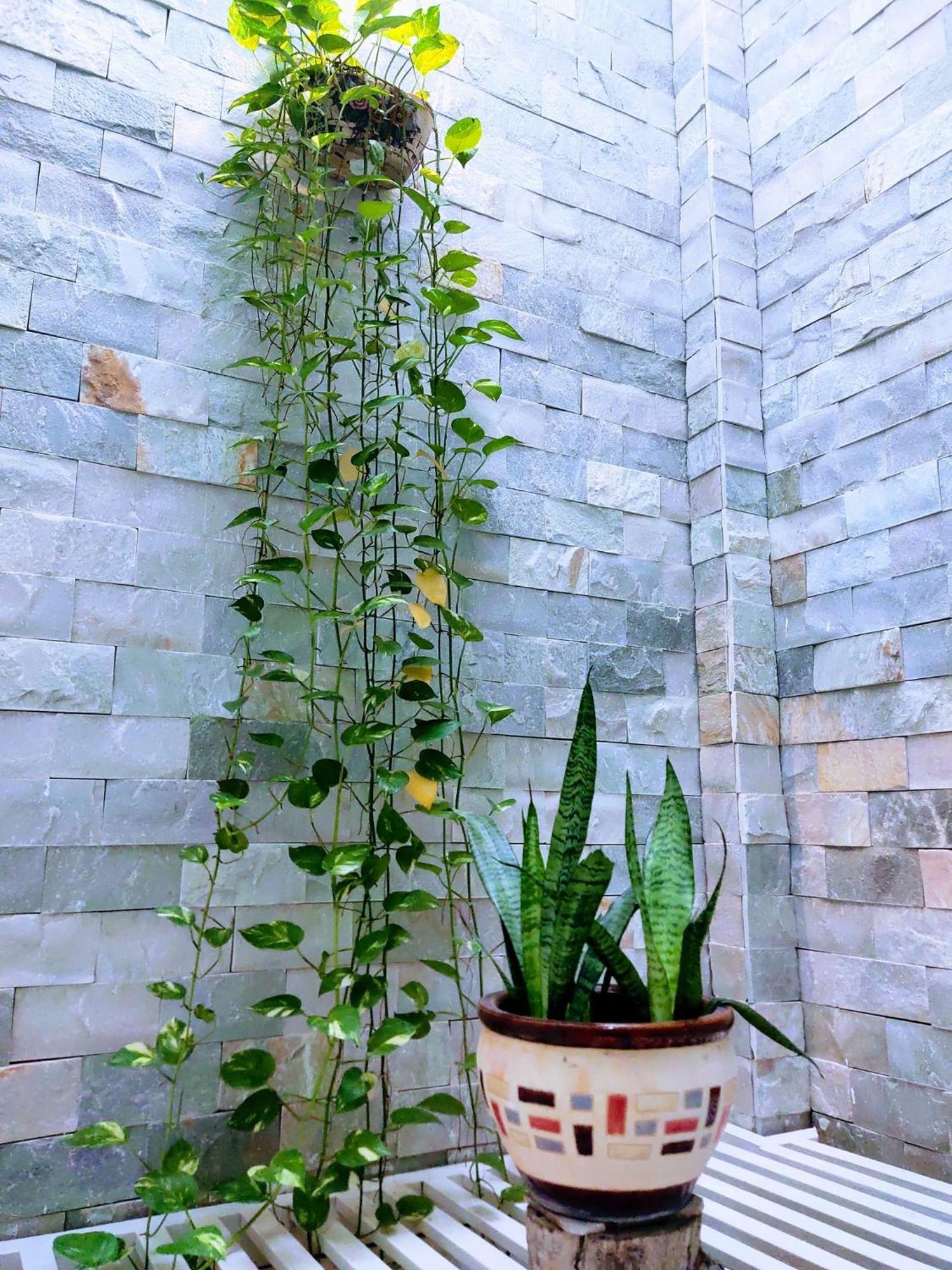 Nap Homestay Kinh Dinh Exterior photo